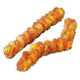 Flexible Autumn Hedge $10.00 SALE $5.00