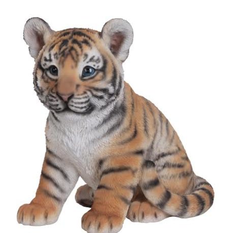 Tiger Cub