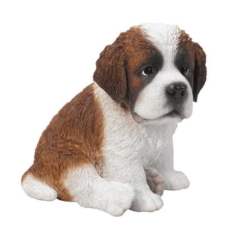 Saint Bernard Puppy